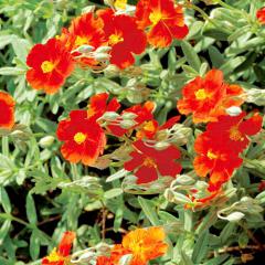 Obr�zok (4)